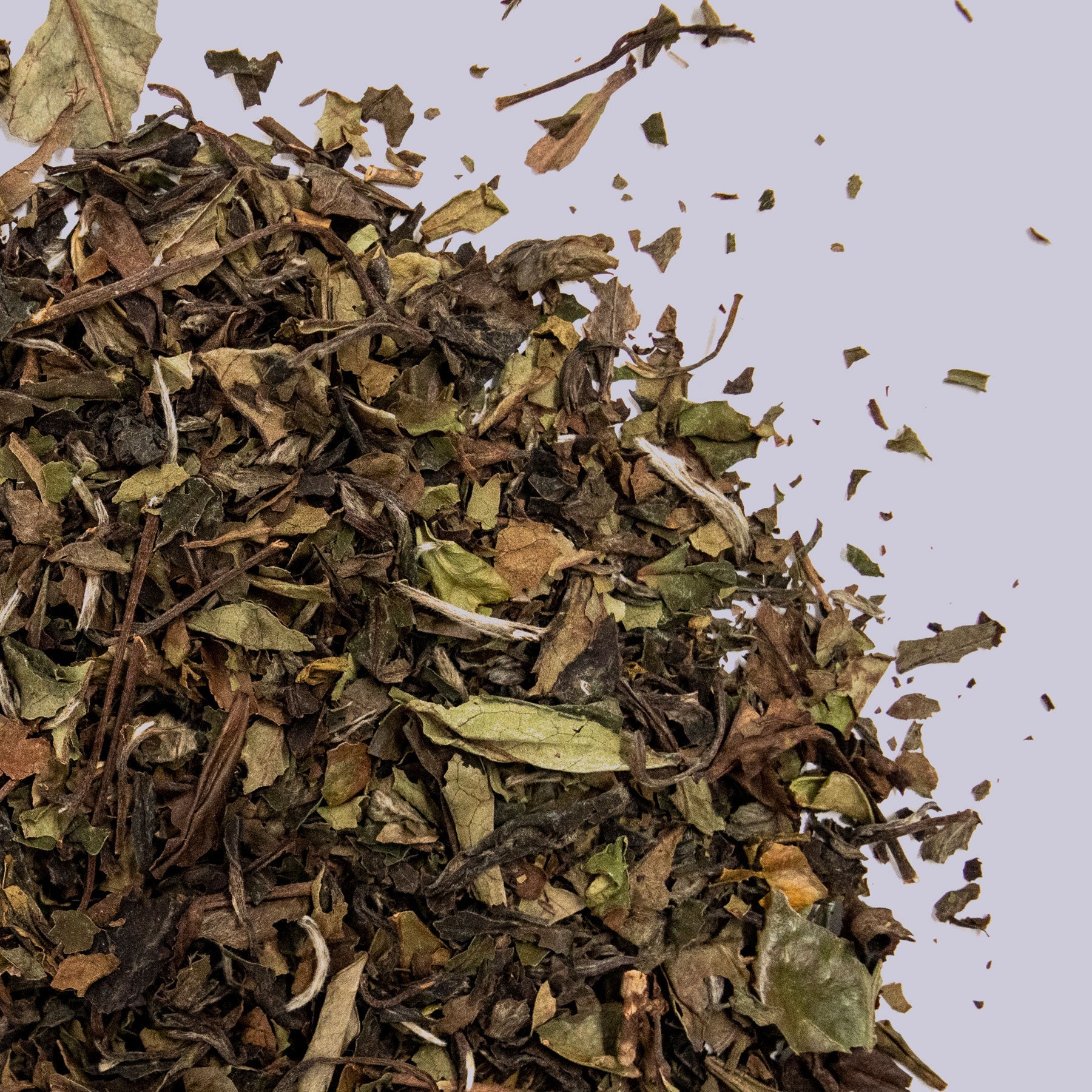 White Tea – Waypoint Tea Co